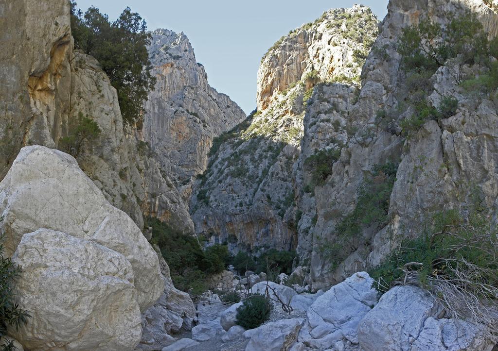 Appartamento Gli Ontani Cala Liberotto Quarto foto